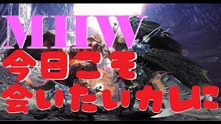 【MHW】HR180突破☆私の攻撃珠はどこですか？【モンスターハンターワールド】