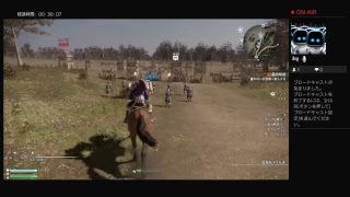 のんびり三國無双