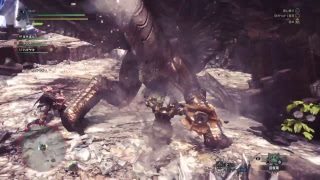 okacl_がPS4からブロードキャスト (モンスターハンター：ワールド) 35