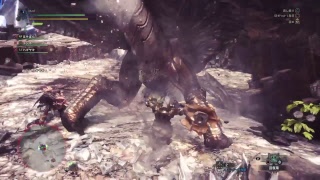 okacl_がPS4からブロードキャスト (モンスターハンター：ワールド) 35