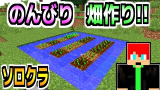 【マインクラフト】洞窟行ったり農業したり【ソロクラ】7