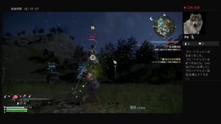 19キャラ目　文鴦　難易度修羅