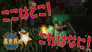 【マインクラフト】【MOD】異世界の旅　始まるよ！