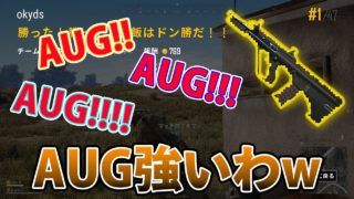 PUBG実況 運に恵まれつつ神武器使ってドン勝 with ゴーヤ