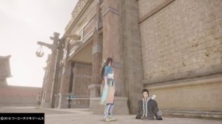 真・三國無双８　小さなバグだけど···