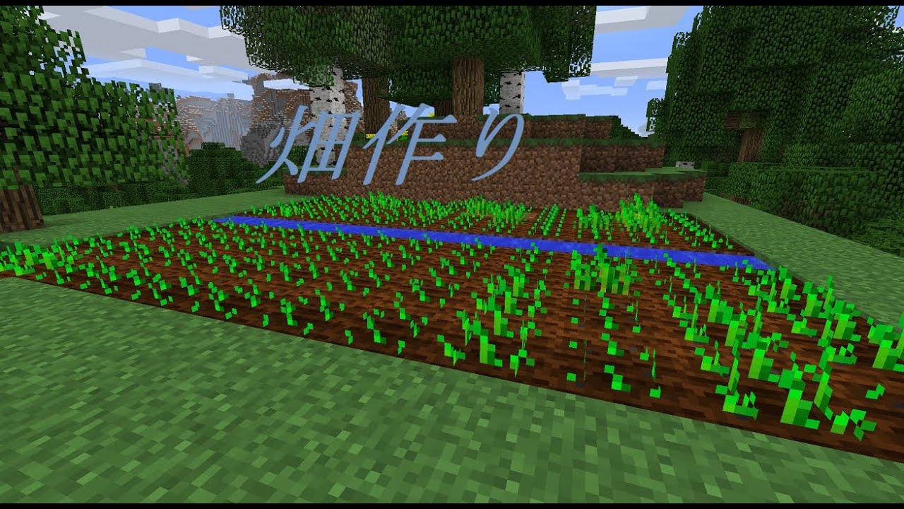 マインクラフトpart2（畑作り）