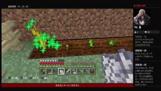 続ー新ニューマインクラフト10