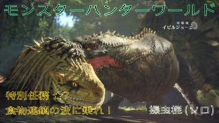 ﾓﾝｽﾀｰﾊﾝﾀｰﾜｰﾙﾄﾞ特別任務★7 食物連鎖の波に乗れ！操虫棍(ｿﾛ)