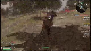 月浪神楽の三國無双8実況