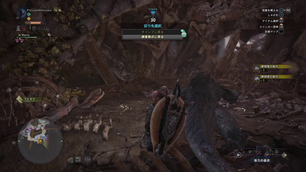 HR109 夢のロマン武器チャージアックス[モンスターハンター：ワールド]