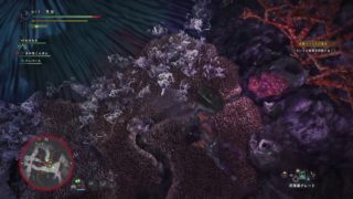 ぼうずとでのんが狩に行く！！ モンスターハンター：ワールド【Part18】