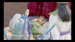 三國無双8 キャラクター　星彩