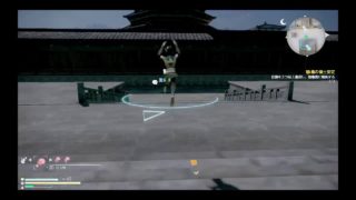 三國無双8 キャラクター　星彩