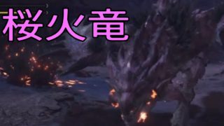 モンスターハンターワールドpart20「桜火竜リオレイア」