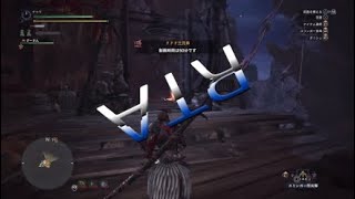 狩人が凸(とつ)る　モンスターハンターワールド　RTA編2