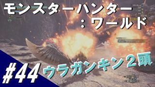 #44 MHW モンスターハンター：ワールド「ウラガンキン達が転がります！」