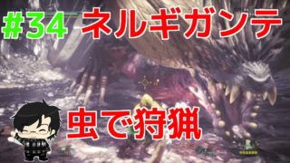 『モンスターハンターワールド(MHW)』#34　〜操虫棍 (虫のみ）で狩猟してみた25〜　すーぱーゆうり