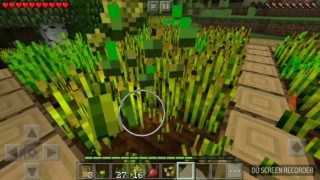 今更すぎるマインクラフト(今クラ)part1