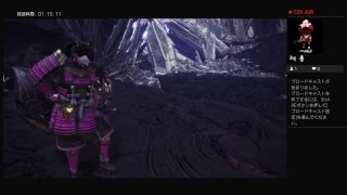 モンスターハンターワールド＃3