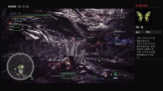 へっぽこおじさんハンター野良日記　MHW　モンスターハンターワールド