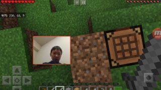 Kidsemin#17 minecraft/マインクラフト/마인크래프트 윤호&세민 생존