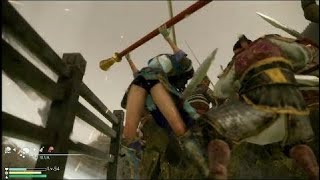 ryona 2018 -  真・三國無双８ 辛憲英 ryona リョナ