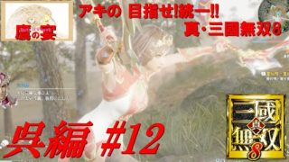 タカチマの 目指せ!統一!! 「 真・三國無双8 ・ Dynasty Warriors 9 」 【 アクションRPG 】 呉編#12