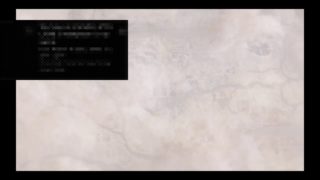 三國無双8　キャラクター　練師