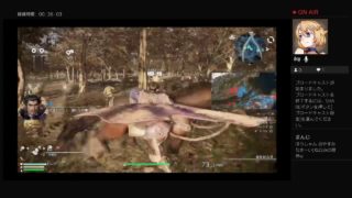 三国無双8  垂れ流し