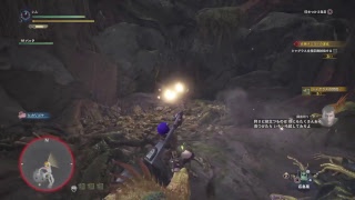 モンスターハンターワールド