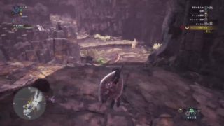 モンスターハンターワールド