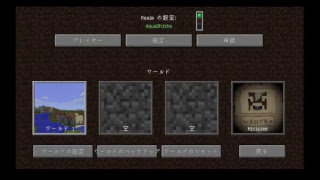 アクア師匠のマインクラフトPC　テスト