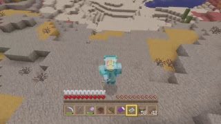 【マインクラフト】ちゅなかんの生放送【＃14】【初見さん歓迎】