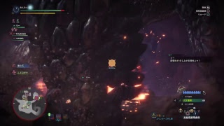 モンスターハンターワールド＃46