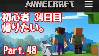 【マイクラ】初心者 34日目 残酷エンドポータル？   Part.48【#マインクラフト実況】【LIVE】
