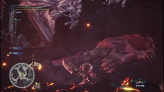 モンスターハンターワールド　　とどめは何だ！？