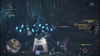 ［モンスターハンターワールド］いろいろな大物を釣り上げる動画［MHW］