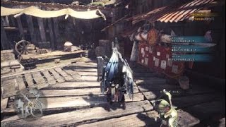 モンスターハンター：ワールド_リオレイア亜種討伐