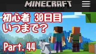 【マイクラ】初心者 30日目 TT周り整地&エンチャ台設置  Part.44【#マインクラフト実況】【LIVE】