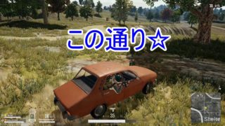 タコとポールゆったりPUBG実況。ドン勝つ食べれたらシリーズ終了＃１