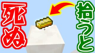 【マインクラフト】アイテムを拾うと死ぬ!?非常識なマインクラフト【マイクラ実況】