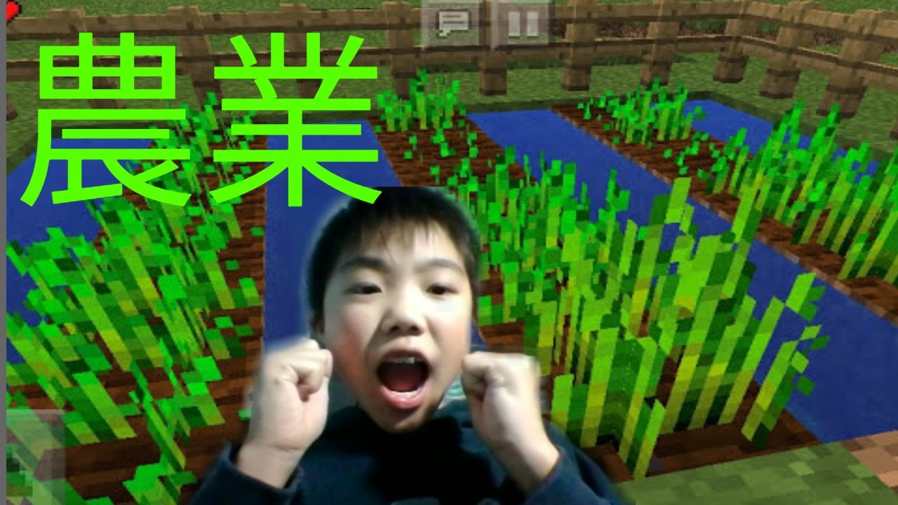 マインクラフト PE サバイバル パート 3 農業