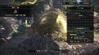 モンスターハンター：ワールド　歴戦イビルジョー　片手剣捕獲　8分19秒　罠1ミス　ドーピング、装具有り