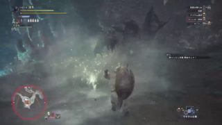 久しぶりのモンスターハンターワールド