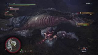 モンスターハンター：ワールド_20180430024220