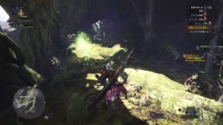 モンスターハンターワールド　アステラ祭きたし初めからやるか