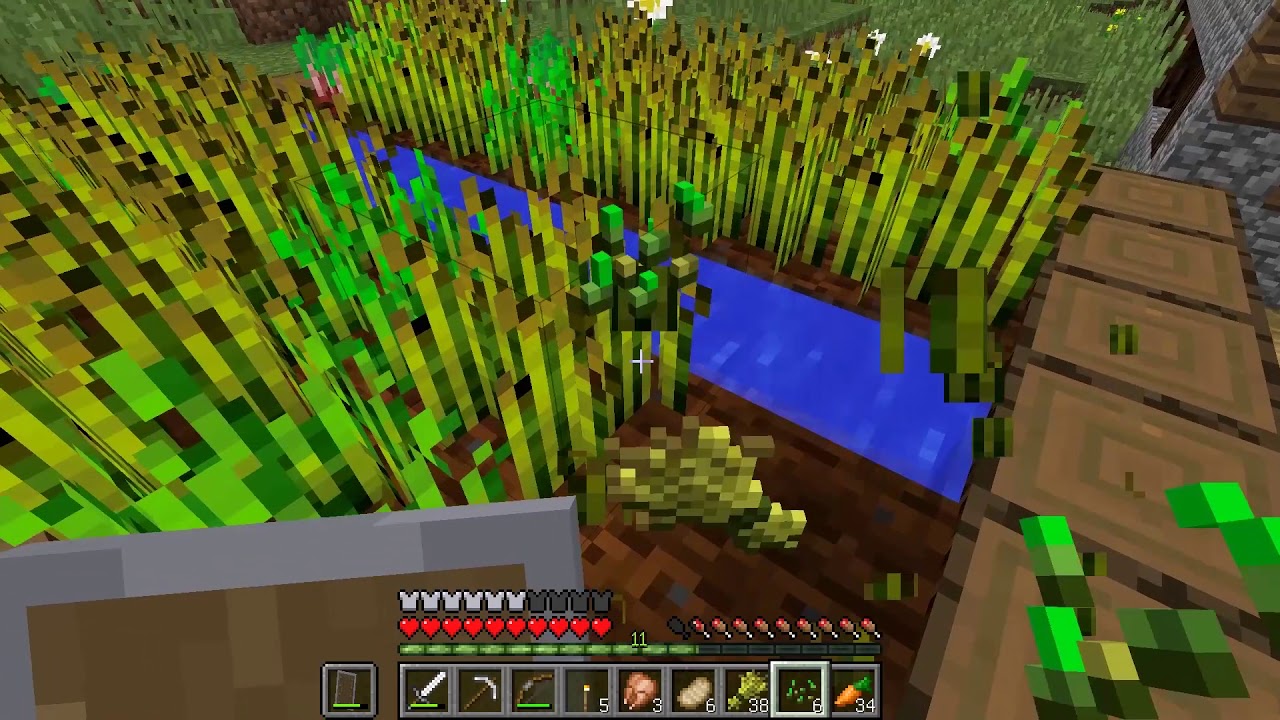 [ミズクラ]ミズキのマインクラフト実況 part1