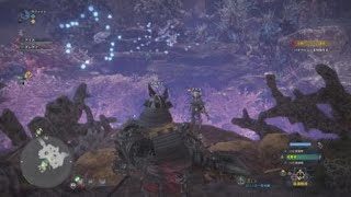 モンスターハンター：ワールド(キャンプにてクエストクリアガン待ち日本人プレイヤー)