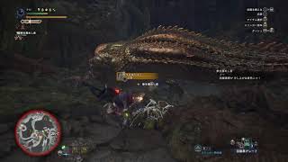 モンスターハンターワールド　歴戦イビルジョー　と　イベント大剣