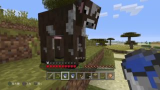 ［マインクラフト］チャンチェルのサバイバルpart 5家作り編後編